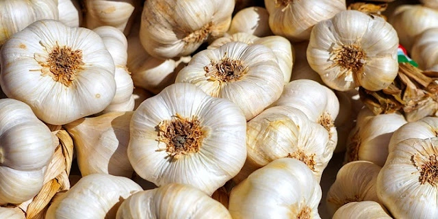 Learn How To Take Advantage Of The Benefits Of Garlic