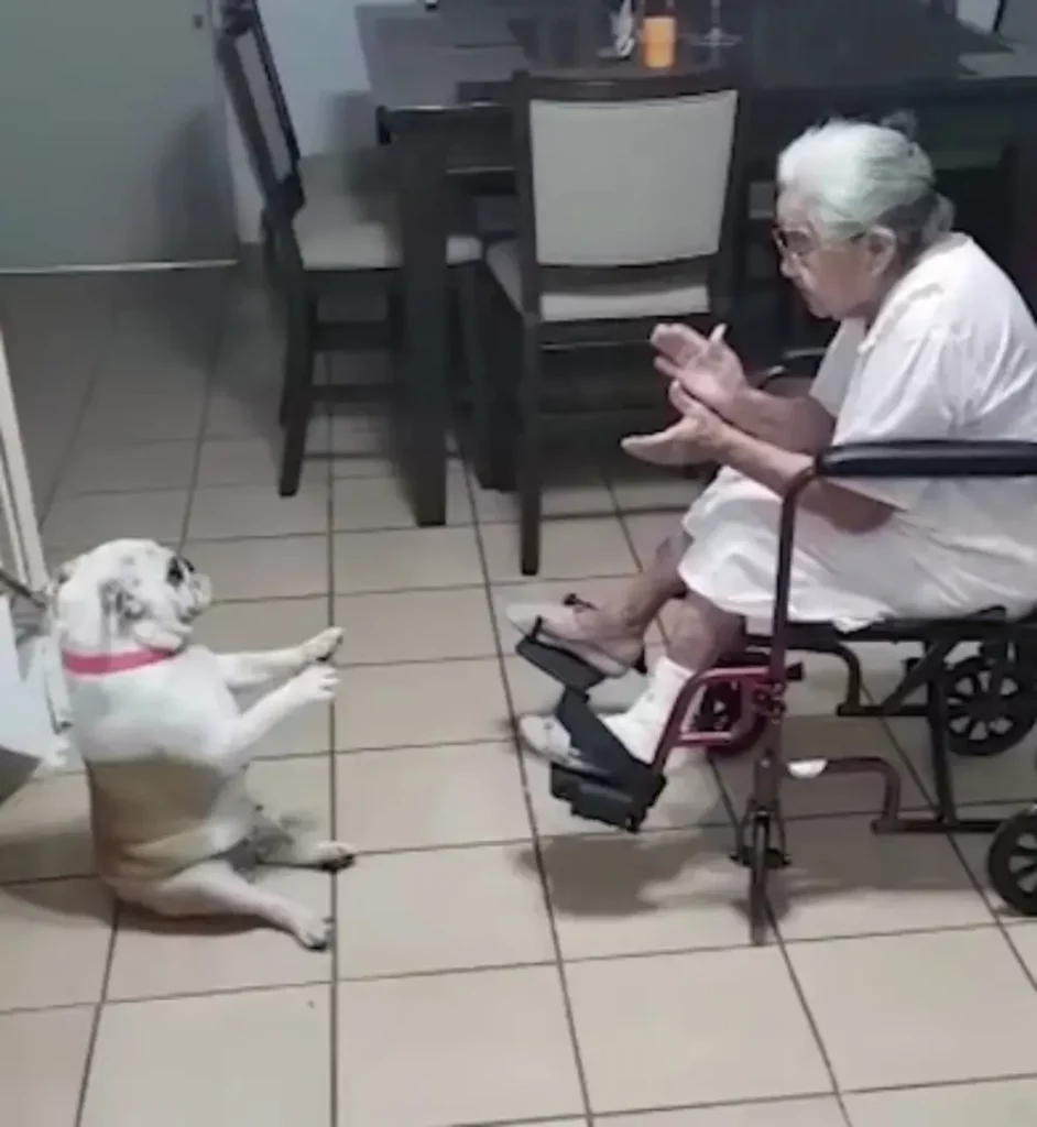 Dancing Pup Grooves to Grandma's Spanish Serenade