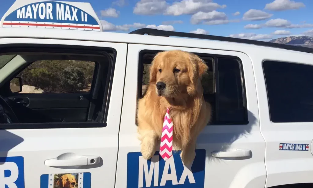 Max Mayor III