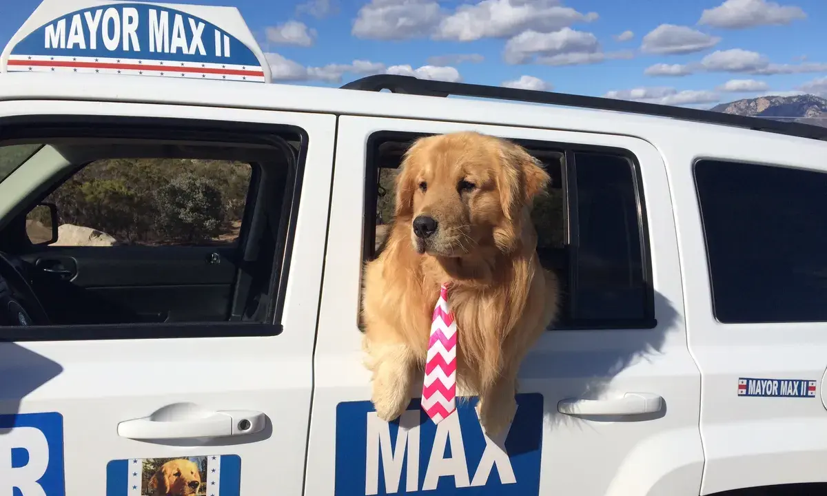 Small Californian Town Elects Dog as Its Mayor for Third Time in a Row