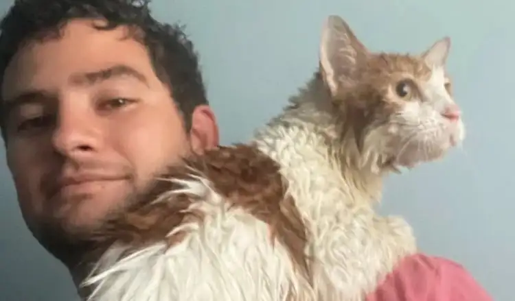 Man-rescues-cat-in-hurricane