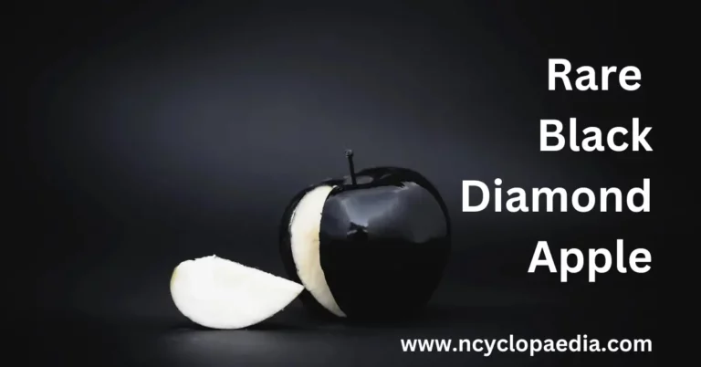 The Rare Black Dimond Apple, Cost, Benefits and Cultivation