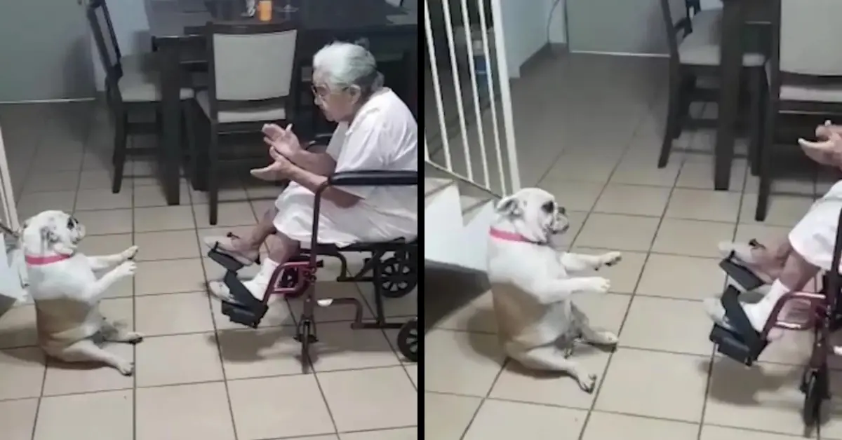 Dancing Pup Grooves to Grandma’s Spanish Serenade