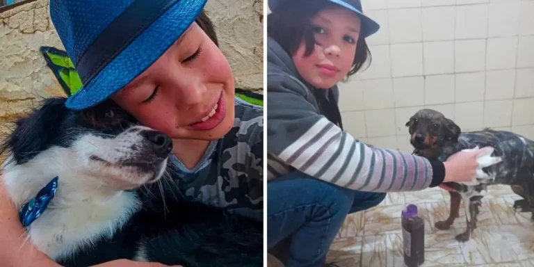 Boy Helps Dogs Get Adopted by Giving Them Baths During His Free Time