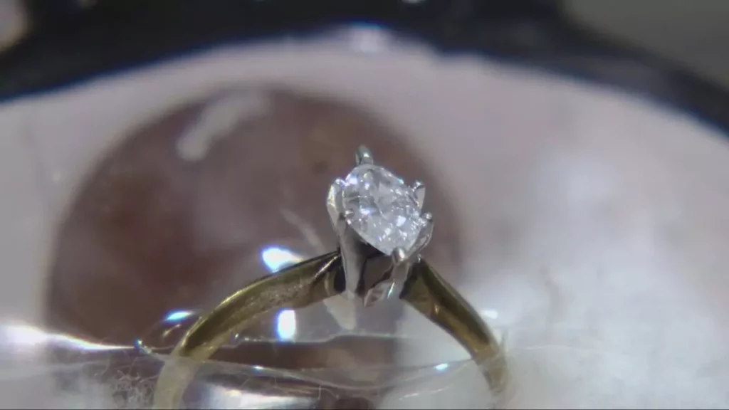 Couple's Lost Diamond Engagement Ring Found After 21 Years In Toilet Seat