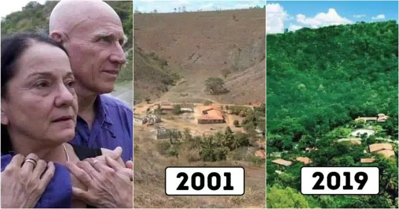 How a Couple Restored a Brazilian Forest and Brought Back Wildlife in 20 Years