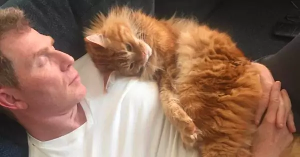 Bobby Flay, Nacho, Maine Coon, Made By Nacho, cat food, Instagram, losing a pet, bond with pets, lasting memory, honoring.