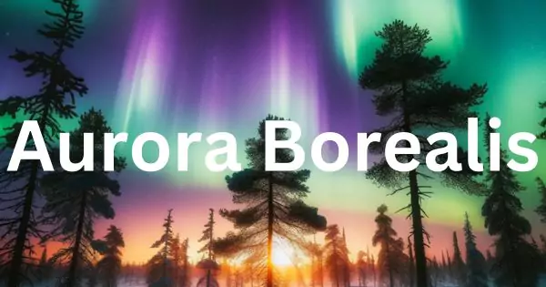Your Ultimate Guide to Seeing the Aurora Borealis in 2023