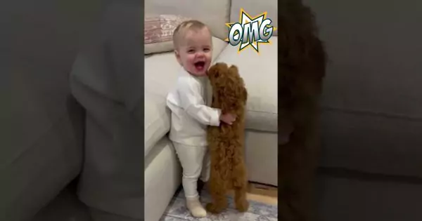Puppy Meets Baby Magical first Encounter