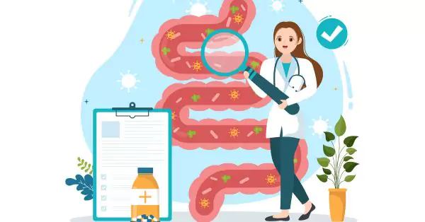 The Importance of Gut Health and Weight Management 