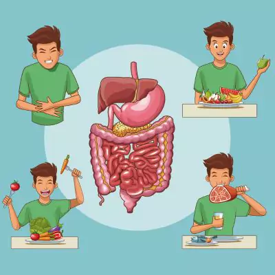 Relationship Between Diet, Gut Health, and Weight