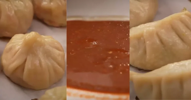 Yummy Chicken And Vegetable Momo Recipe With Tomato Sauce