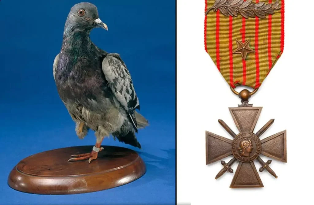 How a Heroic Pigeon Saved 200 Soldiers and Changed the Course of WWI The Unbelievable True Story of Cher Ami