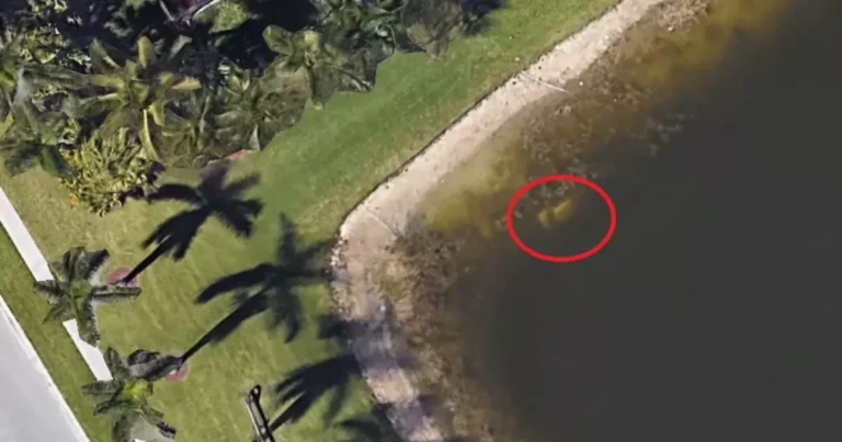 Florida Man Found After 22 Years When His Car Was Spotted Submerged on Google Maps!