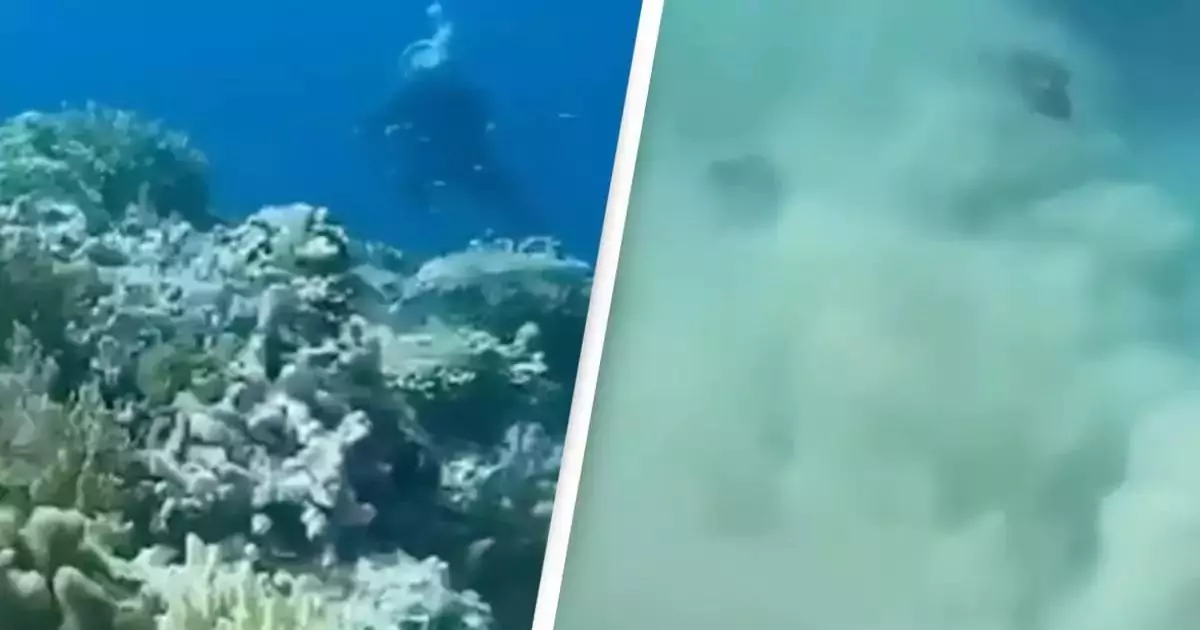 Scuba Divers Film Terrifying Moments During Underwater Earthquake