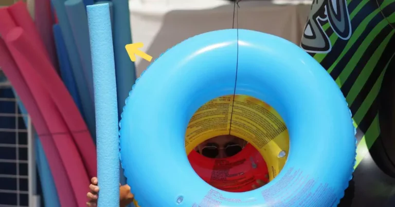 Snakes Could Be Hiding in Your Pool Noodles Fire Department Warns