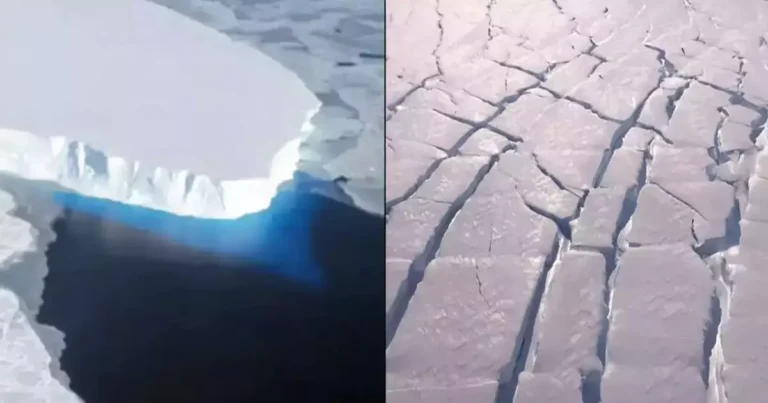 Latest Update on the ‘Doomsday Glacier’: What Scientists Are Saying About Its Potential Collapse