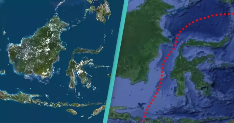 The Mysterious Reason Why Animals Don’t Cross This Bizarre Line on Earth