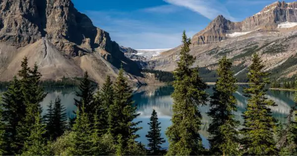 Australian Woman Shares Heartbreaking Story of Husband's Fatal Cliff Fall in Banff National Park