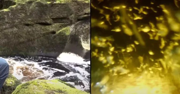 Man Drops Camera Into ‘World’s Deadliest River’—What He Captured Below Will Terrify You!